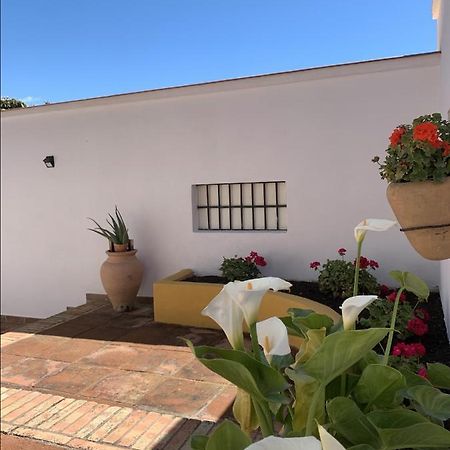 Encantador Apartamento-Centrico-Con Amplio Jardin トレモリノス エクステリア 写真