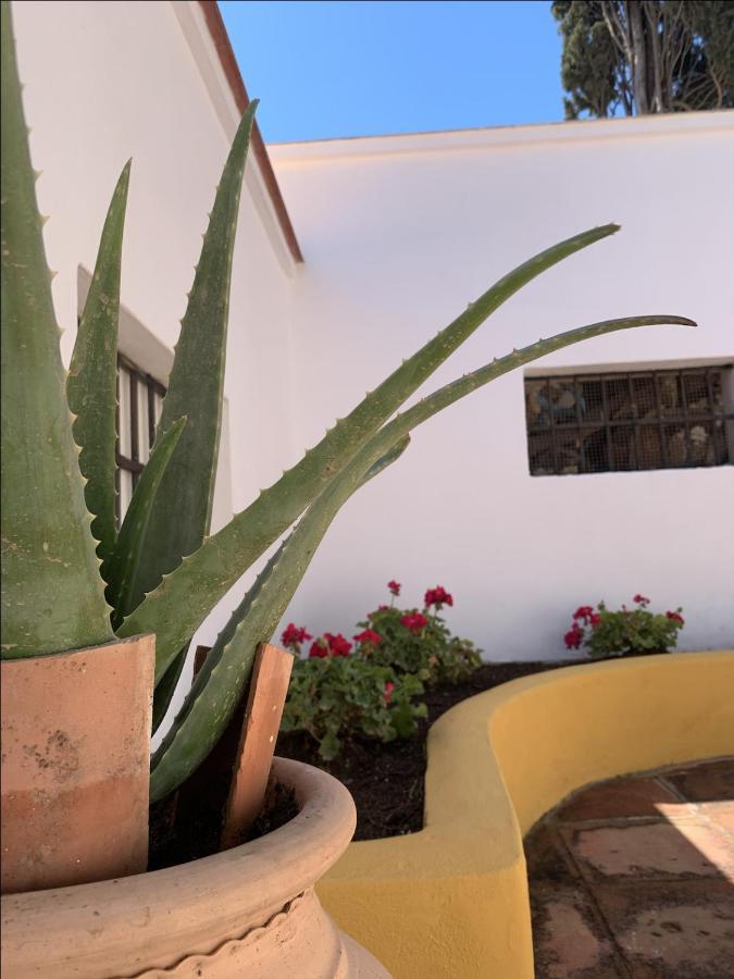 Encantador Apartamento-Centrico-Con Amplio Jardin トレモリノス エクステリア 写真